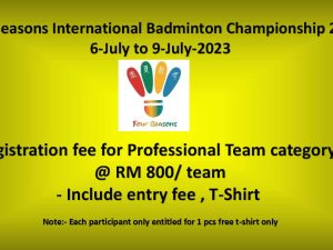 Registration fee for Professional Team category